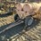 custom-500g-fuel-wagon-image-1