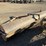 custom-16'-smooth-roller-image-6