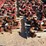 (10x$)-(2-pallets)-3”-1502-style-50-chiksans-image-1