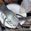 drill-press-&-tools-image-17