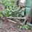 john-deere-350-sickle-mower-image-19