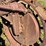 massey-harris-gp-image-54