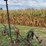 john-deere-350-sickle-mower-image-3