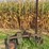sickle-mower-image-1