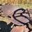 massey-harris-gp-image-30