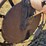 massey-harris-gp-image-41