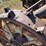 massey-harris-gp-image-44
