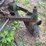 sickle-mower-image-8