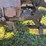 massey-harris-gp-image-46