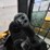 2021-caterpillar-299d3-image-17