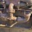 massey-harris-gp-image-15