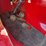 1937-1939-ford-cabover-truck-image-31