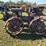 massey-harris-gp-image-6