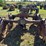 massey-harris-gp-image-4