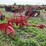 oliver-two-bottom-plow-image-1