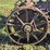 massey-harris-gp-image-34