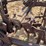 cletrac-front-mount-cutlivator-image-28