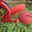 oliver-one-bottom-plow-image-17