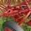 oliver-one-bottom-plow-image-19