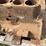 massey-harris-gp-engine-image-15
