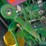 john-deere-6430-image-58