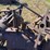 massey-harris-gp-image-30