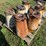 ford-planter-parts-image-2