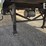 2003-great-dane-image-14