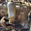 massey-harris-gp-image-62