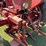 farmall-super-m-image-25