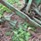john-deere-350-sickle-mower-image-7