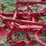 oliver-two-bottom-plow-image-18