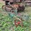 horse-drawn-plow-image-1