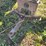 massey-harris-gp-image-36