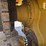 2019-caterpillar-d6t-xl-image-38
