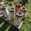 ford-planter-parts-image-3