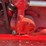 farmall-super-m-ta-image-22
