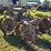 massey-harris-gp-image-5