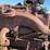 massey-harris-gp-image-14
