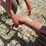allis-chalmers-g-image-17