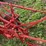 oliver-one-bottom-plow-image-9