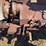 massey-harris-gp-image-28