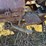 massey-harris-gp-image-47