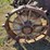massey-harris-gp-image-55