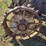 massey-harris-gp-image-45