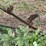 john-deere-350-sickle-mower-image-4
