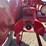 farmall-av-image-48