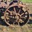 massey-harris-gp-image-43