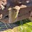 massey-harris-gp-image-62