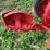 oliver-one-bottom-plow-image-16